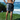 Reef Life Board Shorts